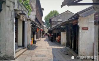 逗小猴开心系列202